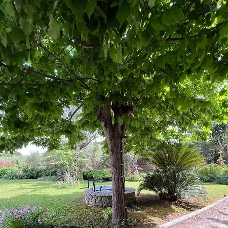 Casa Nb Villa *