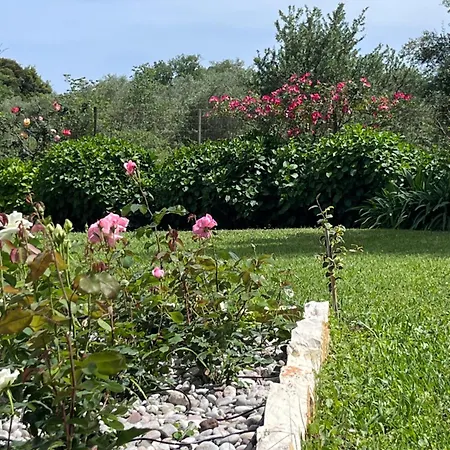 Villa Casa Nb *